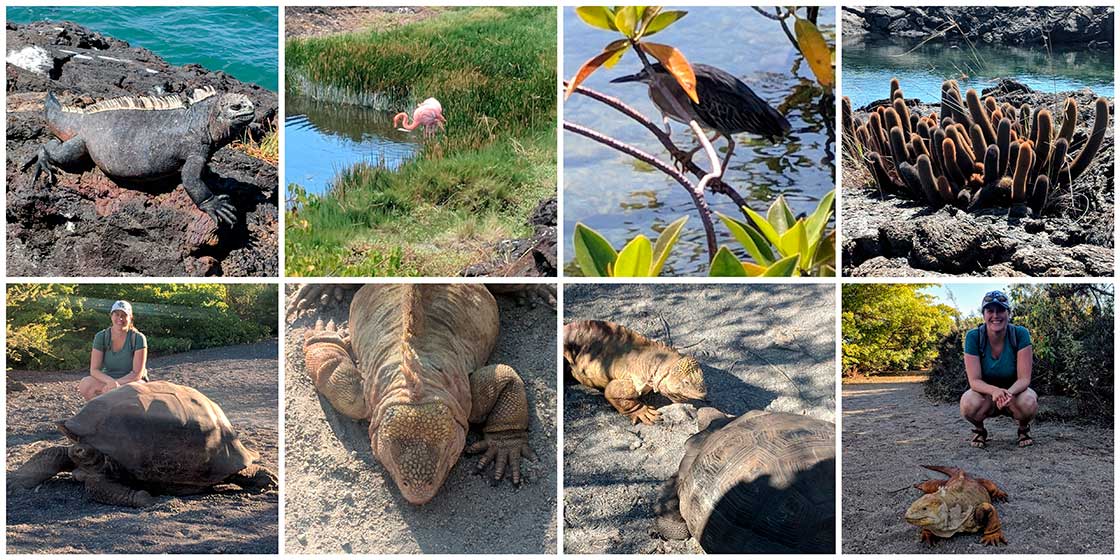 Galapagos