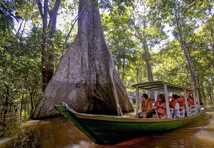Manaus & The Amazon Jungle