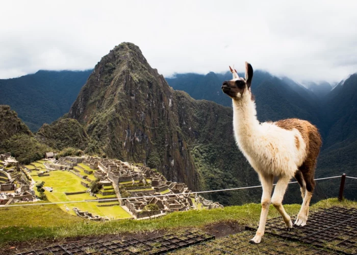 Peru - The Southern Treasures